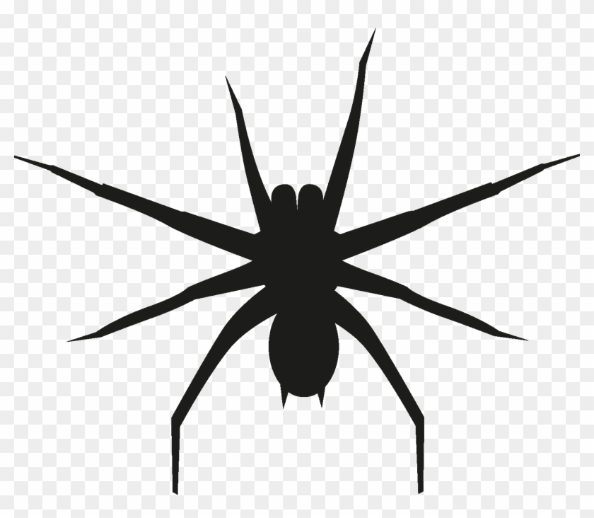 Insects Set [silhouette] Png - Wolf Spider Clipart #5499201