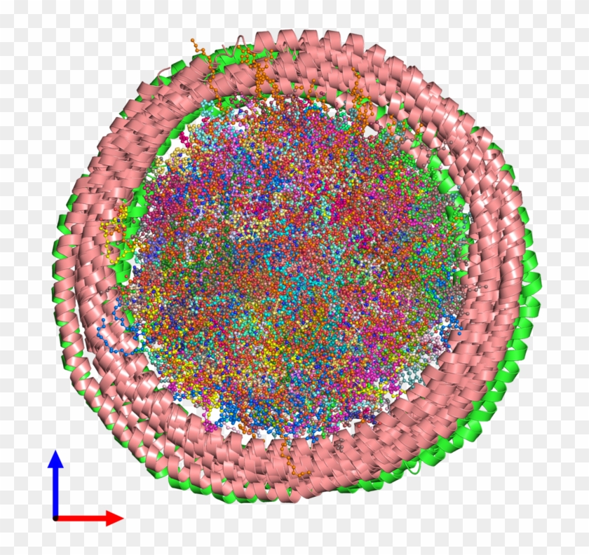 Pdb 2msc Coloured By Chain And Viewed From The Front Clipart #5499399