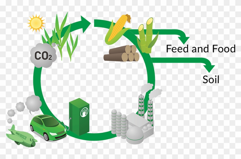It's A Fact - Biofuel Biomass Clipart #5499650