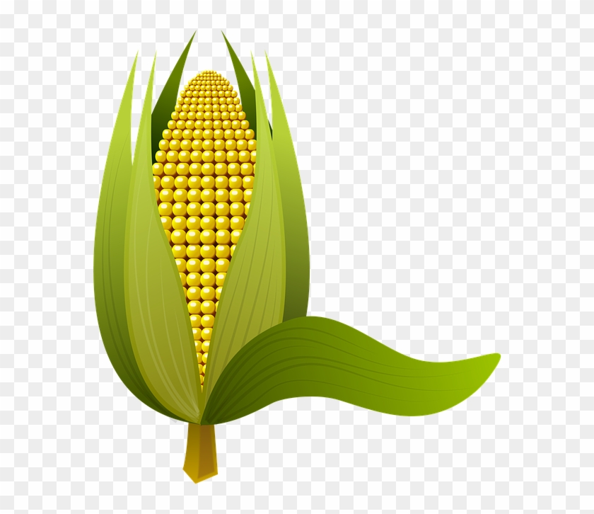 Majs Png Clipart #5499651