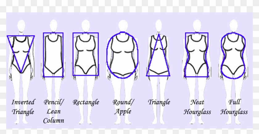 Body-shapes - Body Shapes Clipart #5499654