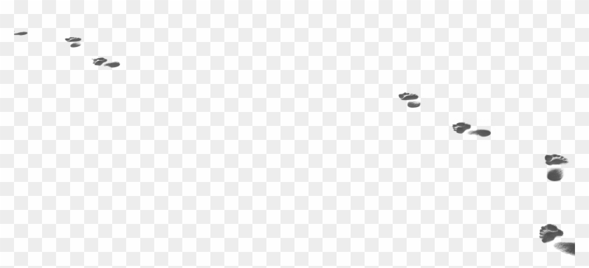 This Example Illustrates The Potential Of Active Travel - Mouse Clipart #5499816