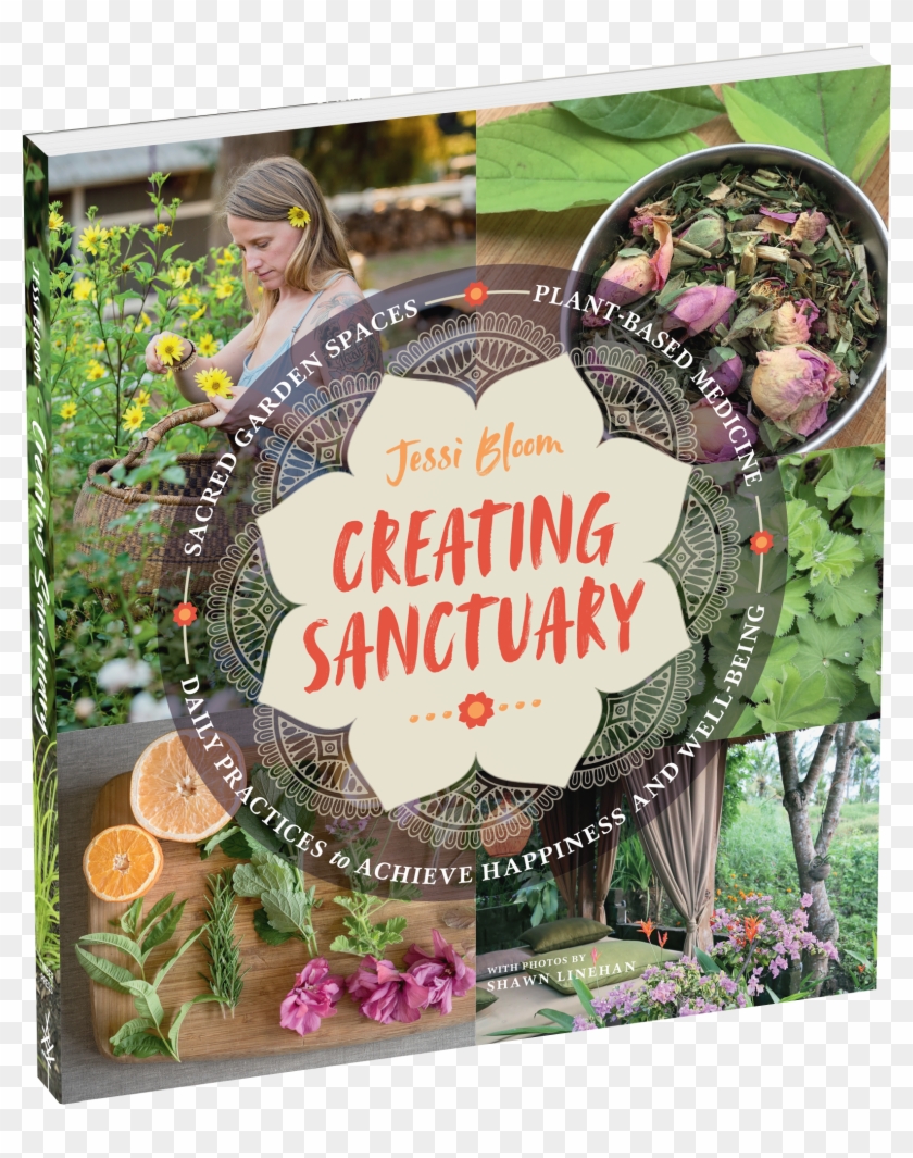 Creating Sanctuary Book Clipart #5499896