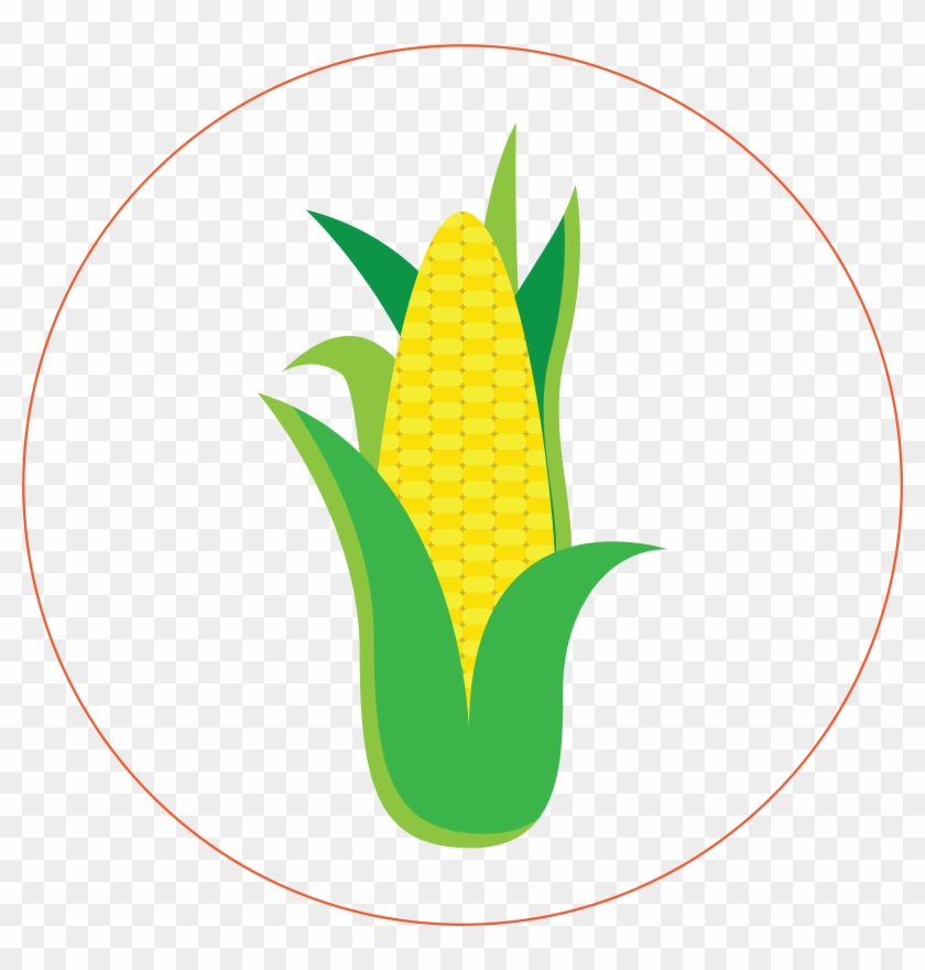 Corn - Sweet Corn Clipart #5499960