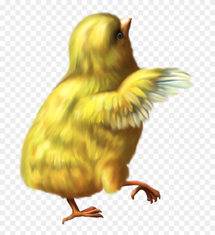 Easter Deco Chicken Png Clipart Picture - Chicken Gif Png Transparent Png