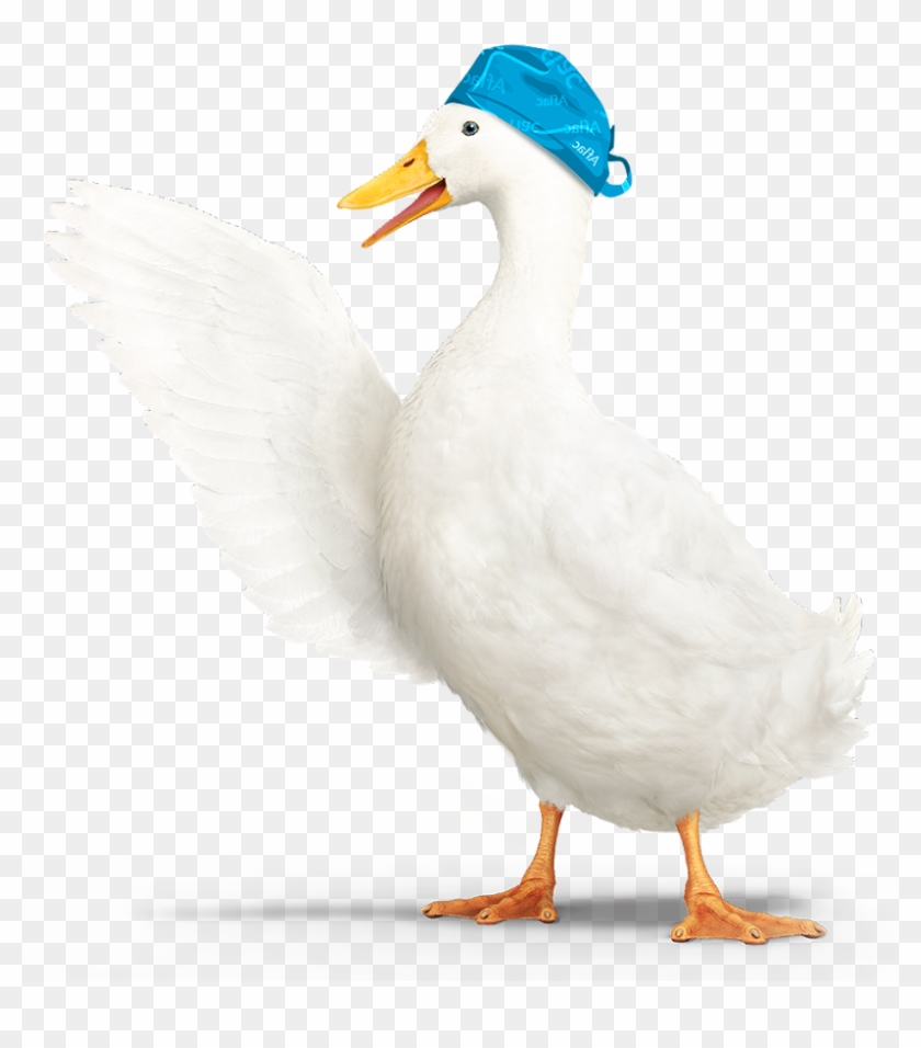 819 X 876 18 - Aflac Duck Png Clipart