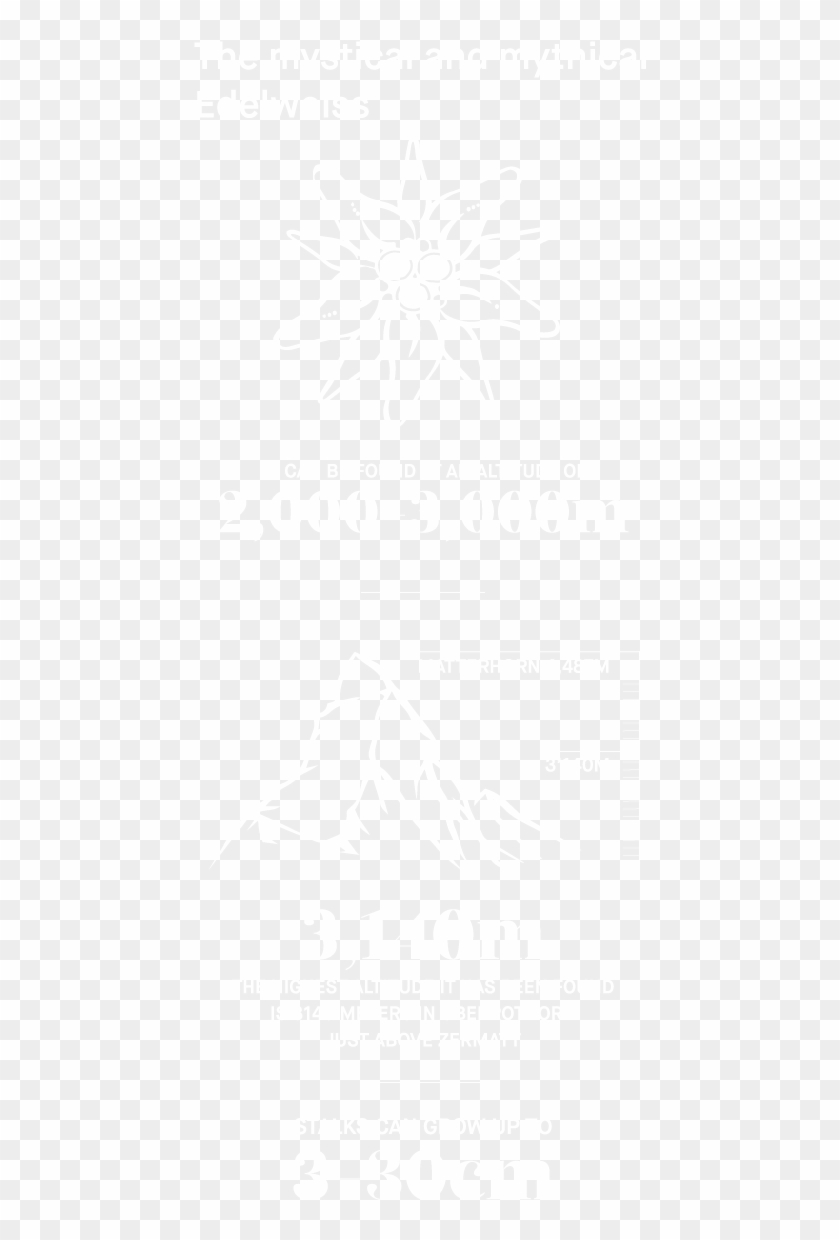 Samsung Logo White Png , Png Download - Poster Clipart #552859