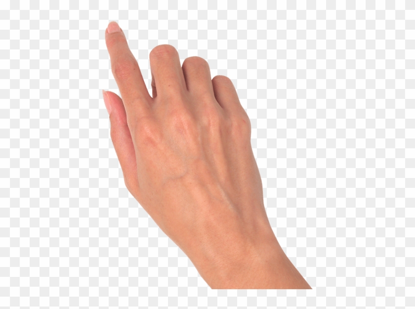 Hands Png Image - Hand Png Clipart #552862