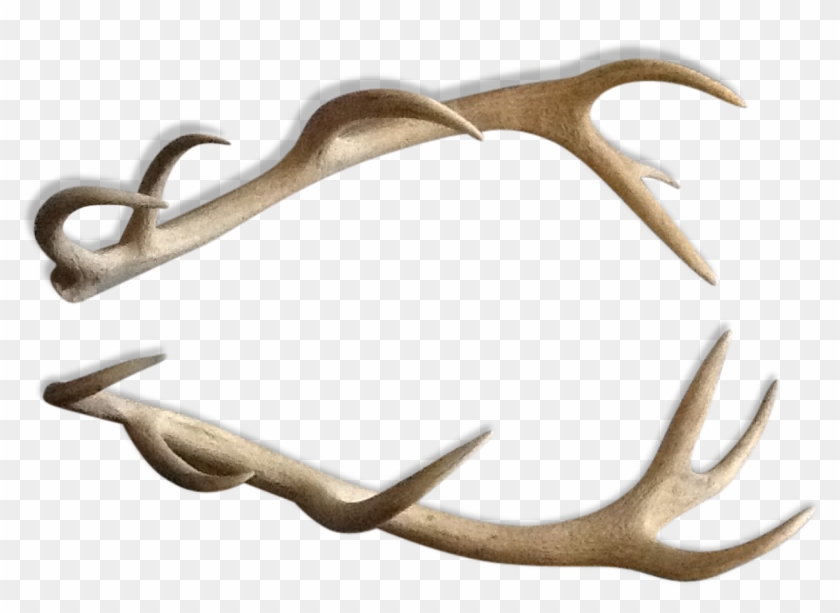 Deer , Png Download Clipart #553109