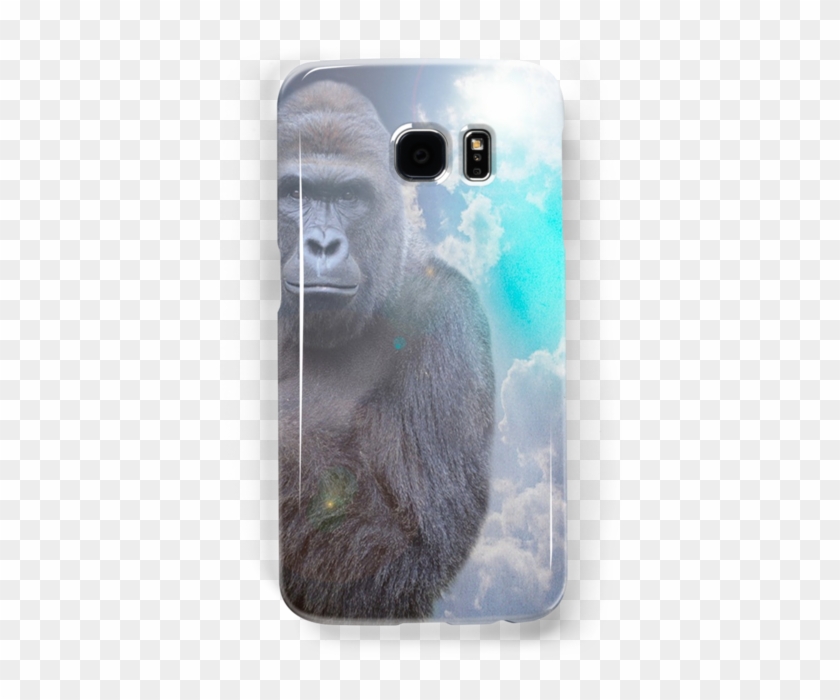Harambe - Iphone Clipart