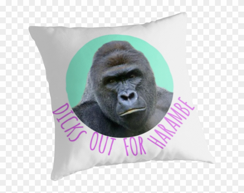 Dicks Out For Harambe - Cushion Clipart #555538