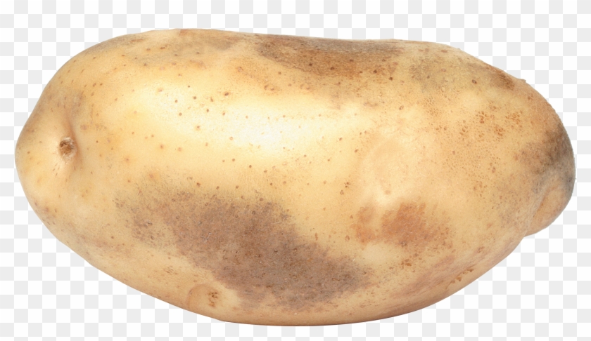 Potato Png Images - Potato Png Clipart #555563