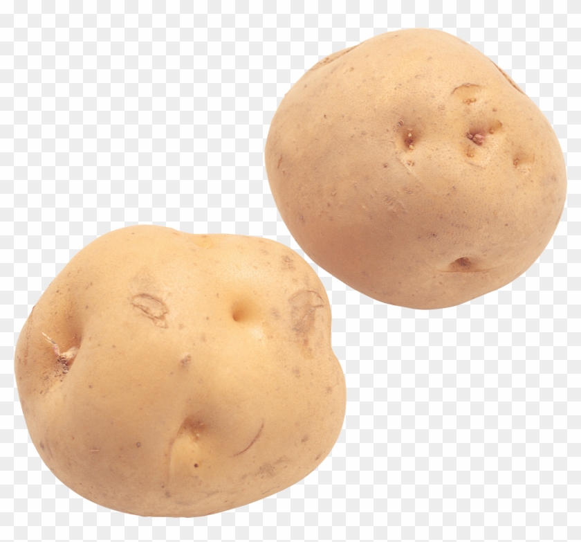 Potato - Potato Png Clipart #555643