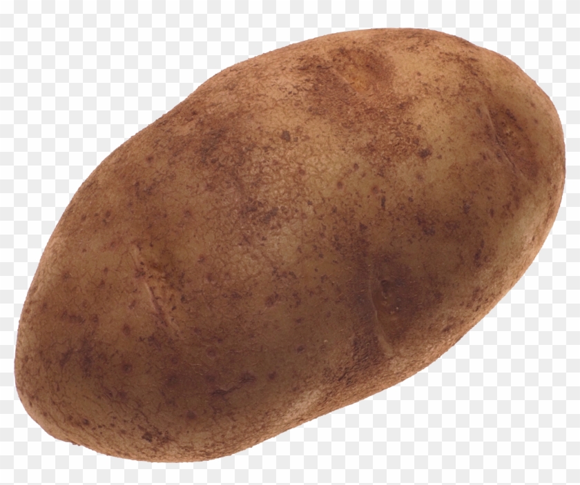 Potato Png Images - Potato With Transparent Background Clipart #555688