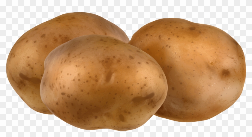 Cute Potato Png - Potatoes Clipart Transparent Png #555770