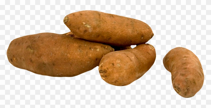 Fresh Sweet Potato Png Image - Sweet Potato Transparent Clipart #555810
