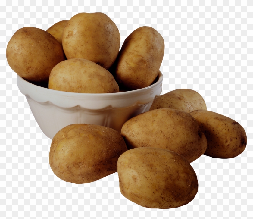 Best Free Potato High Quality Png - Potato For Kids Clipart #555836