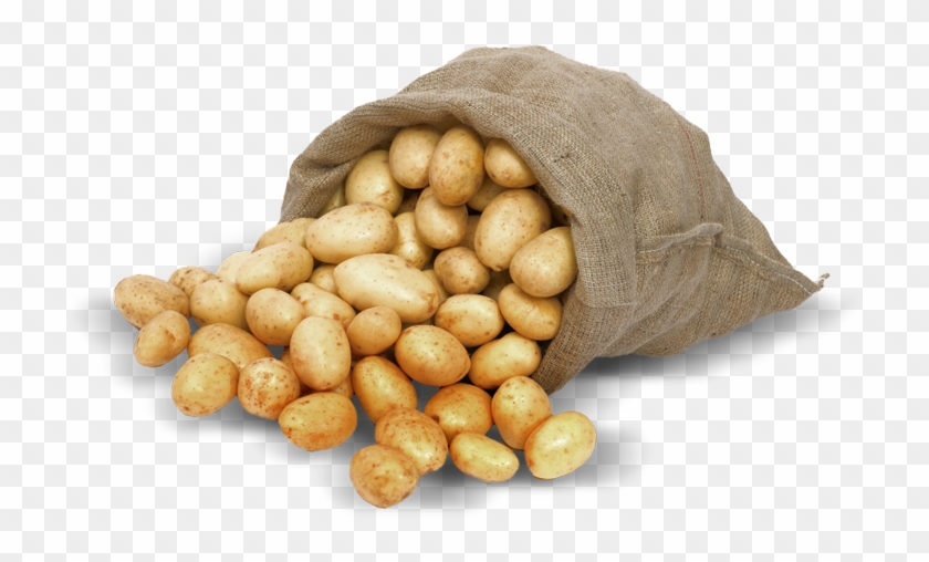 Istock 000017472664small - Potato Clipart #556276