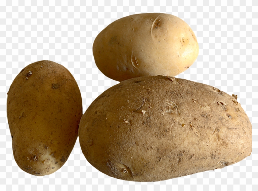 Fresh Potato Png Image Clipart