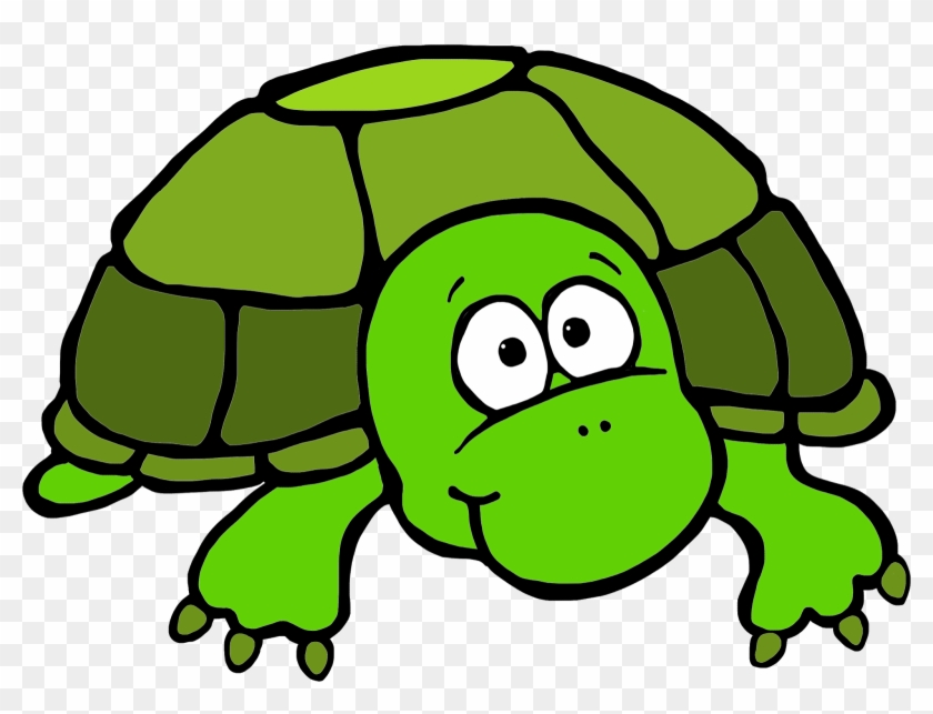 1600 X 1149 3 - Turtle Clip Art Colored - Png Download #556497