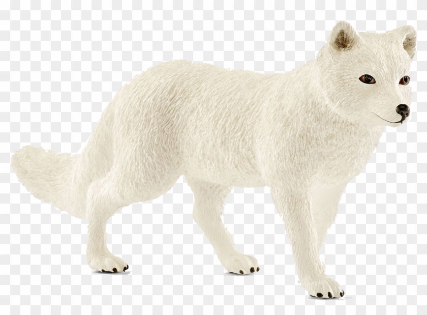 Arctic Fox Png Free Pic - Arctic Fox Clipart #556693