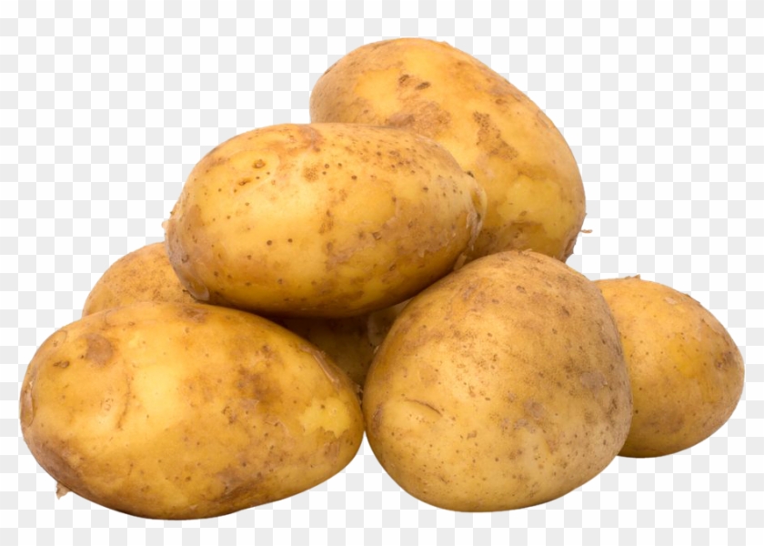 Potato Png Image - Potato Sprouts Poisonous Clipart #556744