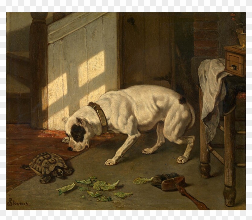 Dog And Turtle - Pug Clipart #556828