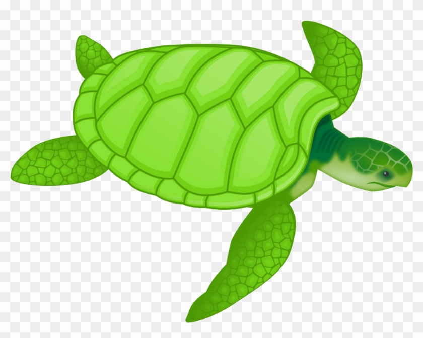 Turtle Png Clipart - Green Sea Turtle Clipart Transparent Png