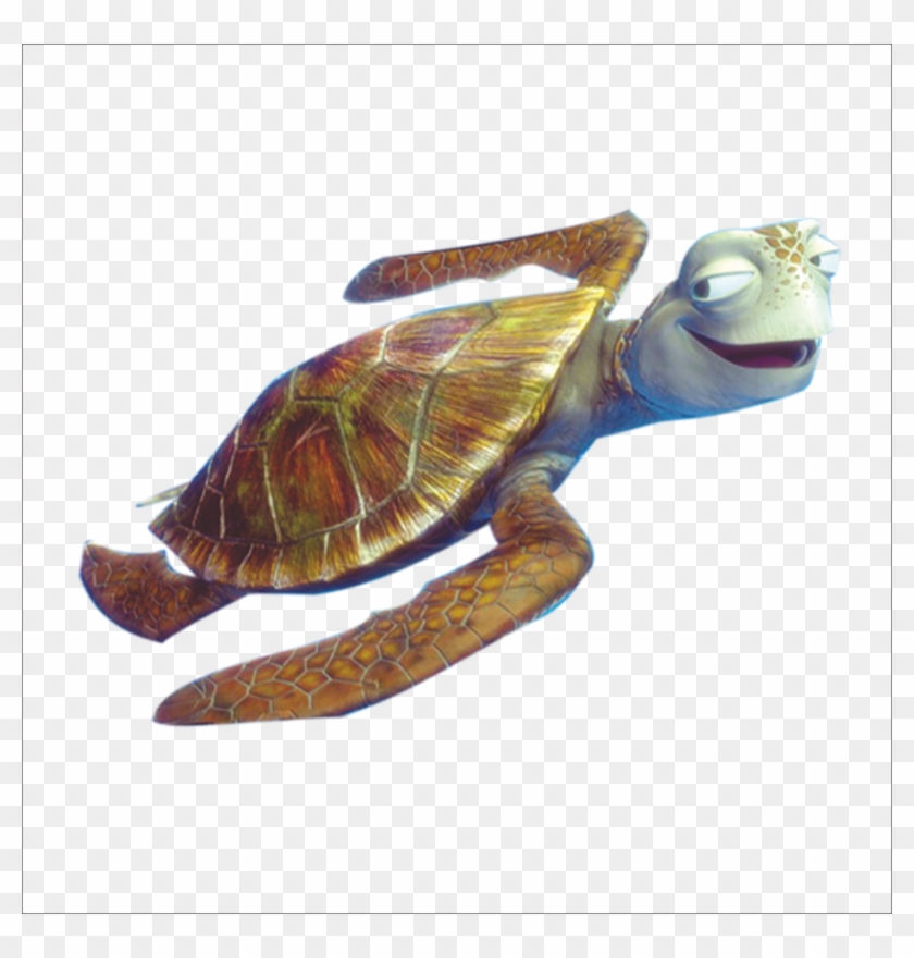 1773 X 1773 4 - Crush Turtle Clip Art - Png Download #557725
