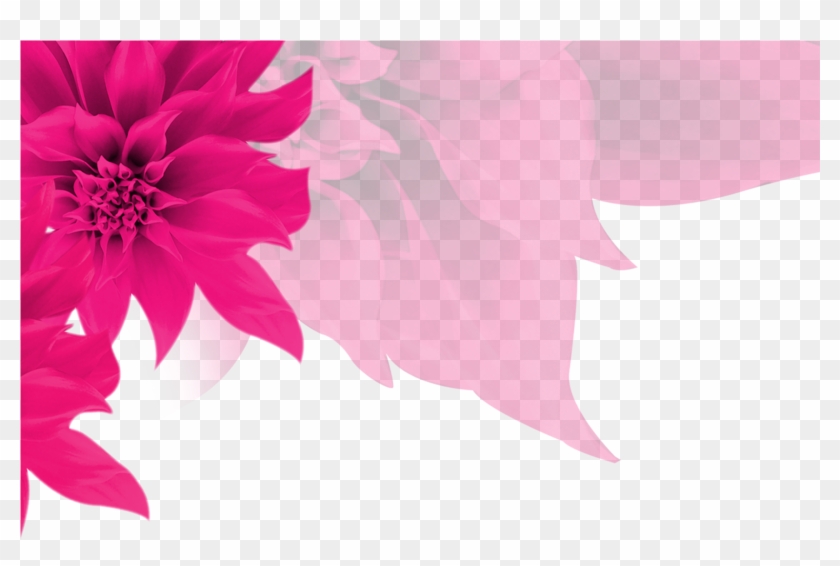 Fundo Rosa Com Flores Png Clipart