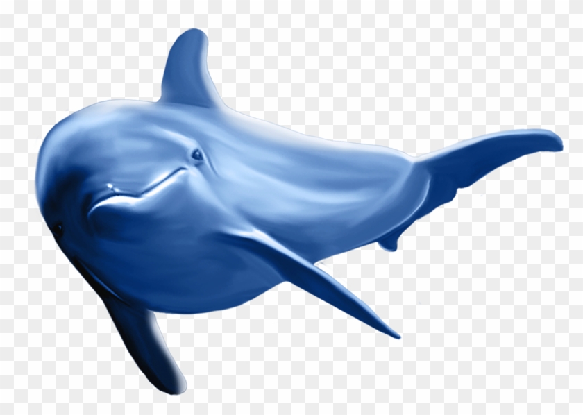 Dolphin Png Clip Art Image - Dolphins Clipart Transparent Png #559611
