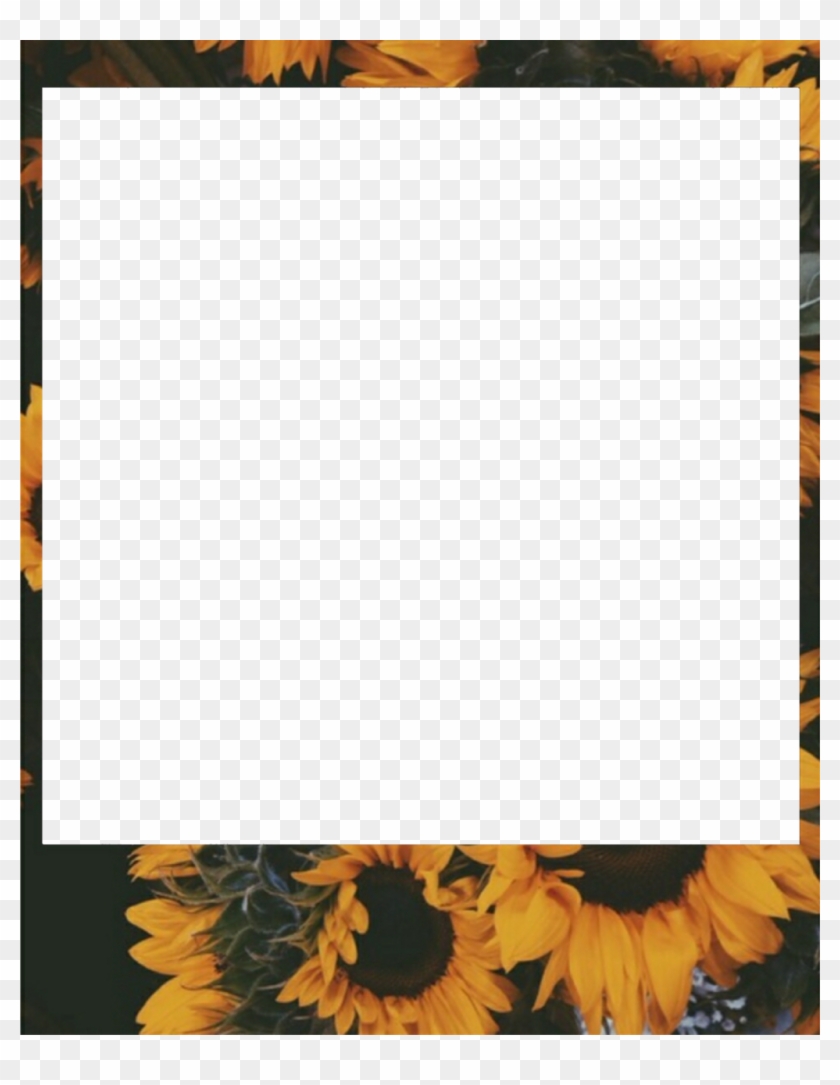 823 X 1024 8 - Aesthetic Polaroid Frame Png Clipart #559680