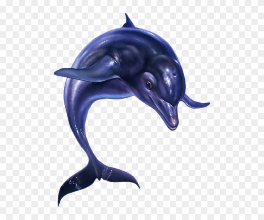 Jumping Dolphin Png - Ecco The Dolphin Png Clipart #559803