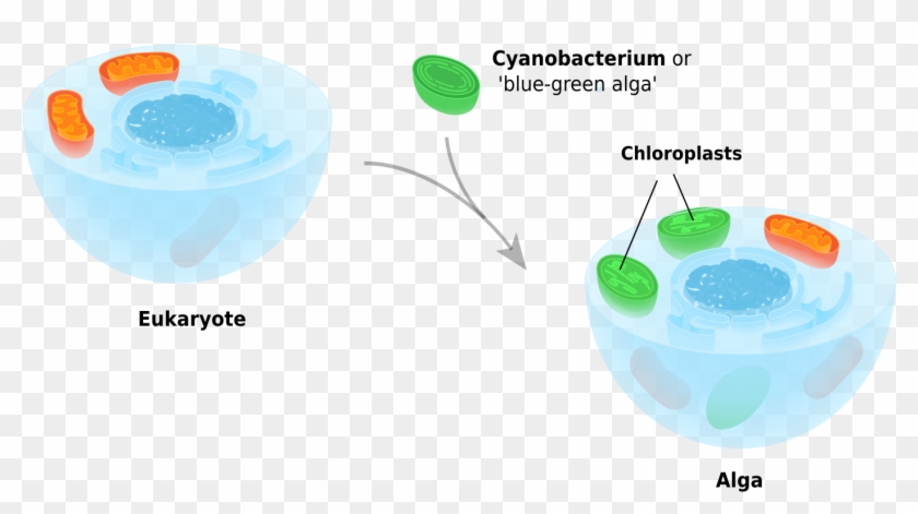 Previous Next -  -  - Gelatin Dessert Clipart