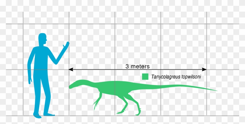 File - Tanycolagreus Scale - Svg - Lesothosaurus Clipart