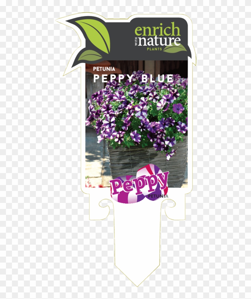 Petunia Peppy Blue Label0 - Bouquet Clipart #5500998