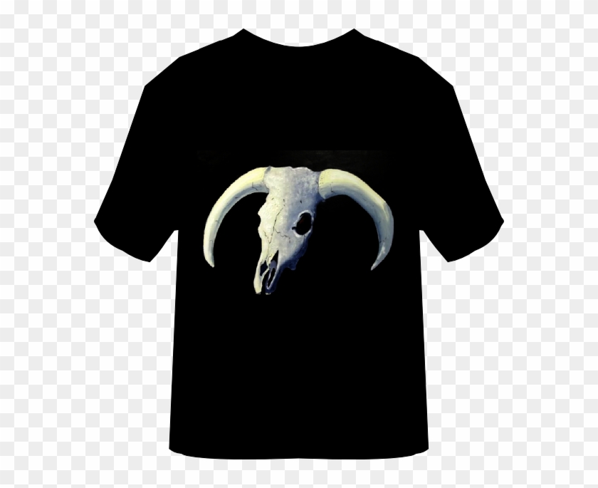 Horned Skull - Horn Clipart