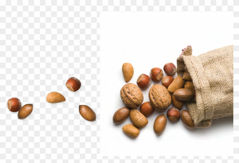 Ingredients For Bread & European Style Bakery Products - Baking Ingredients Png Transparent Clipart