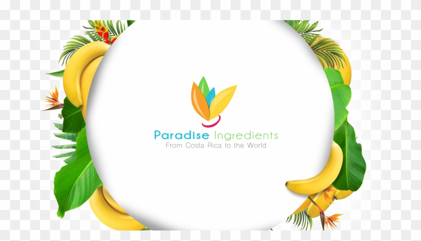 Slide-00 - Paradise Ingredients Costa Rica Clipart