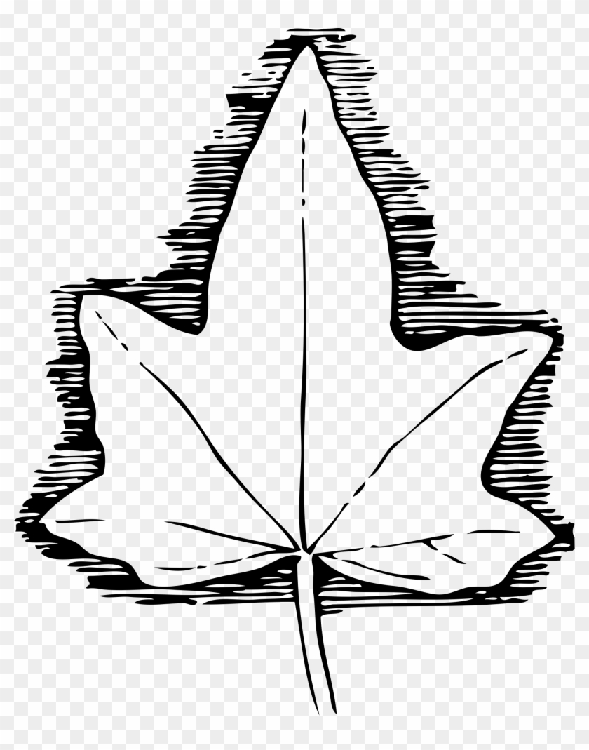 This Free Icons Png Design Of Ivy Leaf 3 - Ivy Leaf Template Clipart