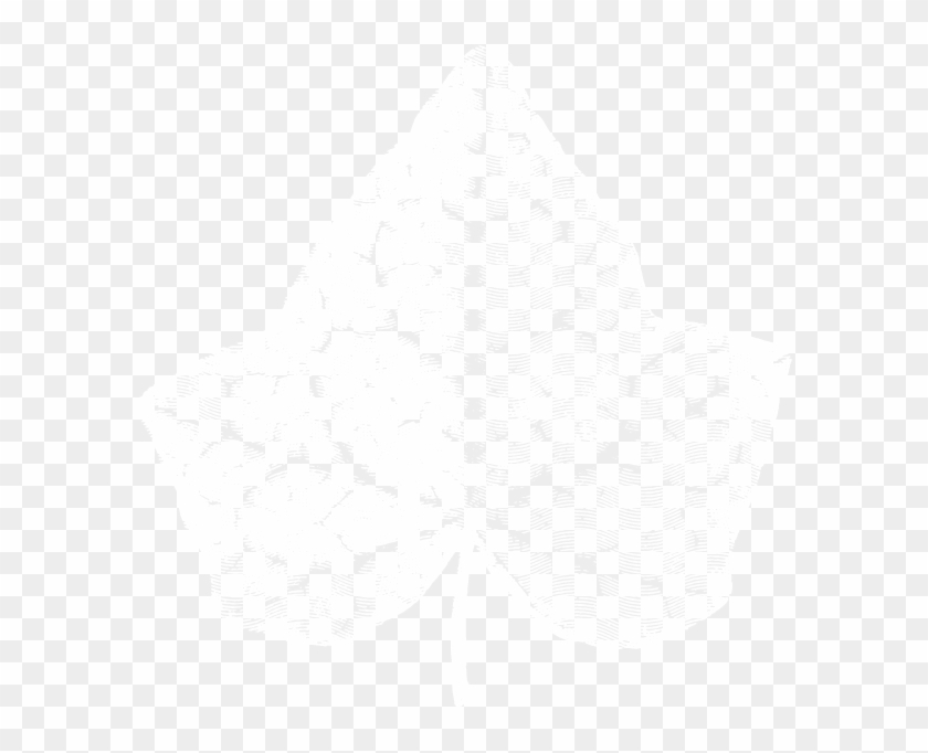 The Ivy - Macro Photography Clipart