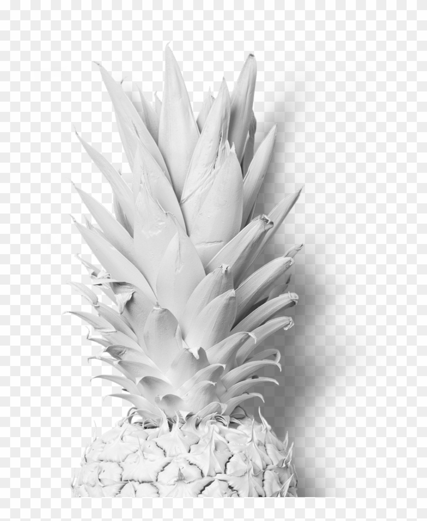 Pineapple , Png Download - Fondos De Verano De Piñas Clipart