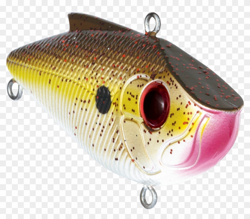 Trout Clipart