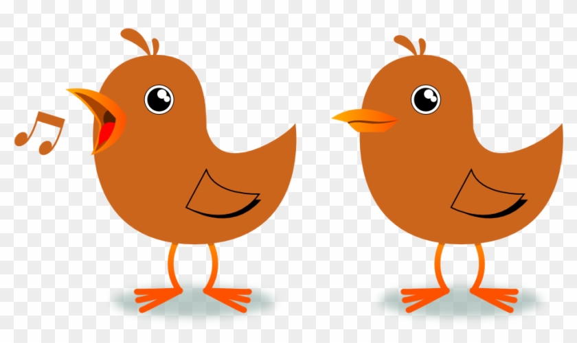 Clip Arts Related To - Bird Cartoon Png Gif Transparent Png #5506240