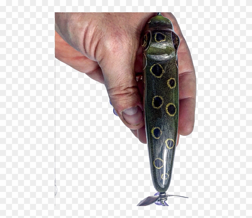 Topview - Bracelet Clipart #5506769