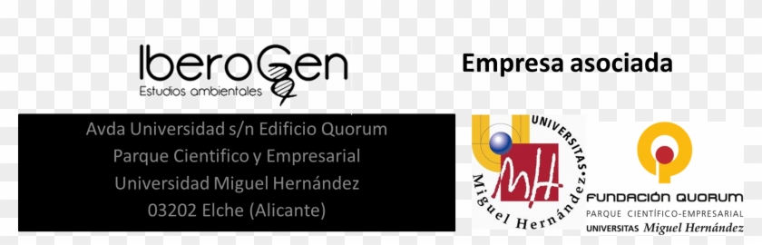 Sexado De Aves - Graphic Design Clipart #5507527