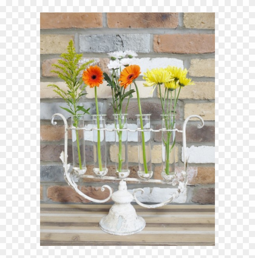 Garden Roses Clipart