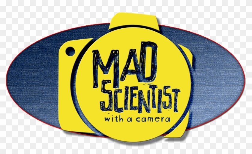 Mad Scientist With A Camera Is The Official Photographer Clipart #5509936
