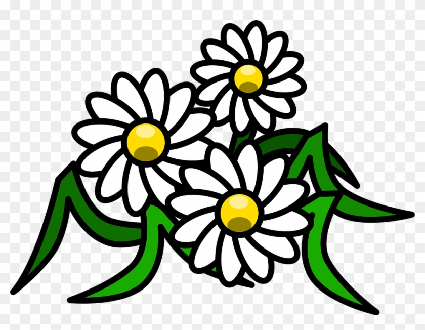 Flowers Cartoon Png - Daisy Clipart Transparent Png #5513185