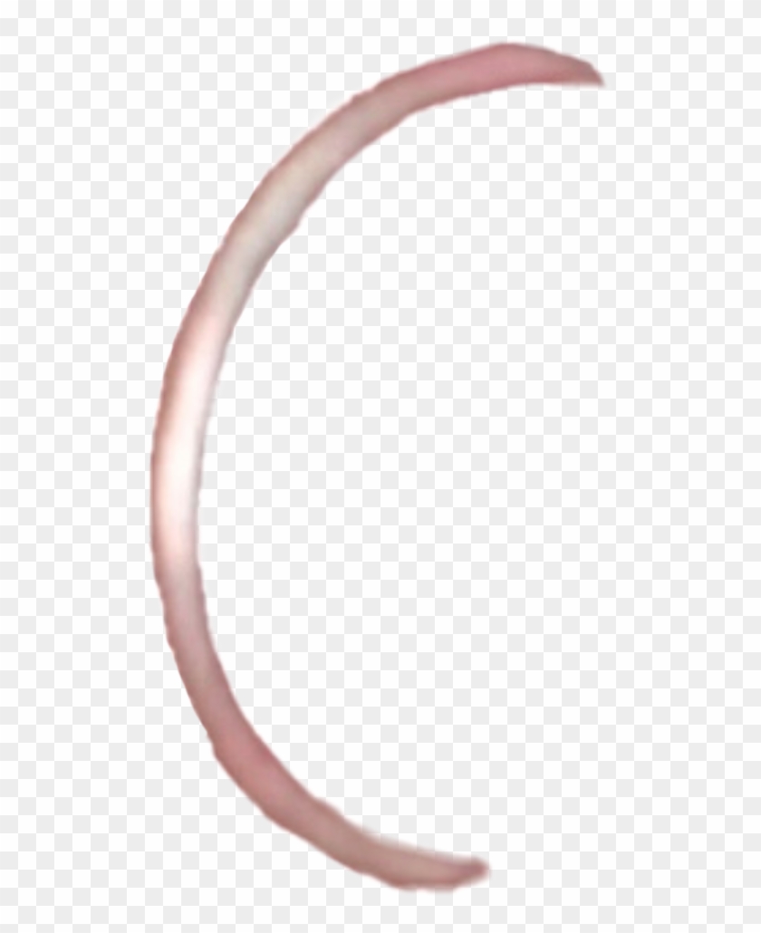 #piercing #nosering #jewlery #aesthetic #edit #lipring - Lip Ring Transparent Clipart